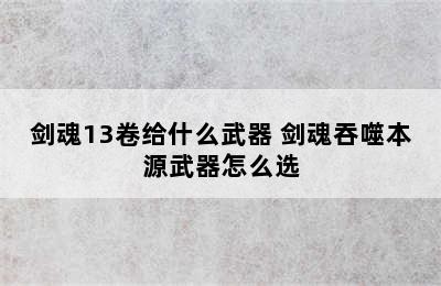 剑魂13卷给什么武器 剑魂吞噬本源武器怎么选